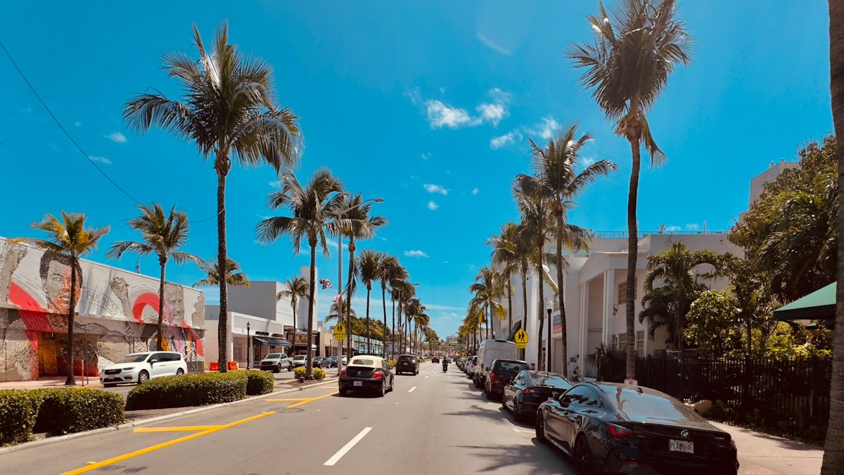 Palm-lined street in South Florida on a clear day